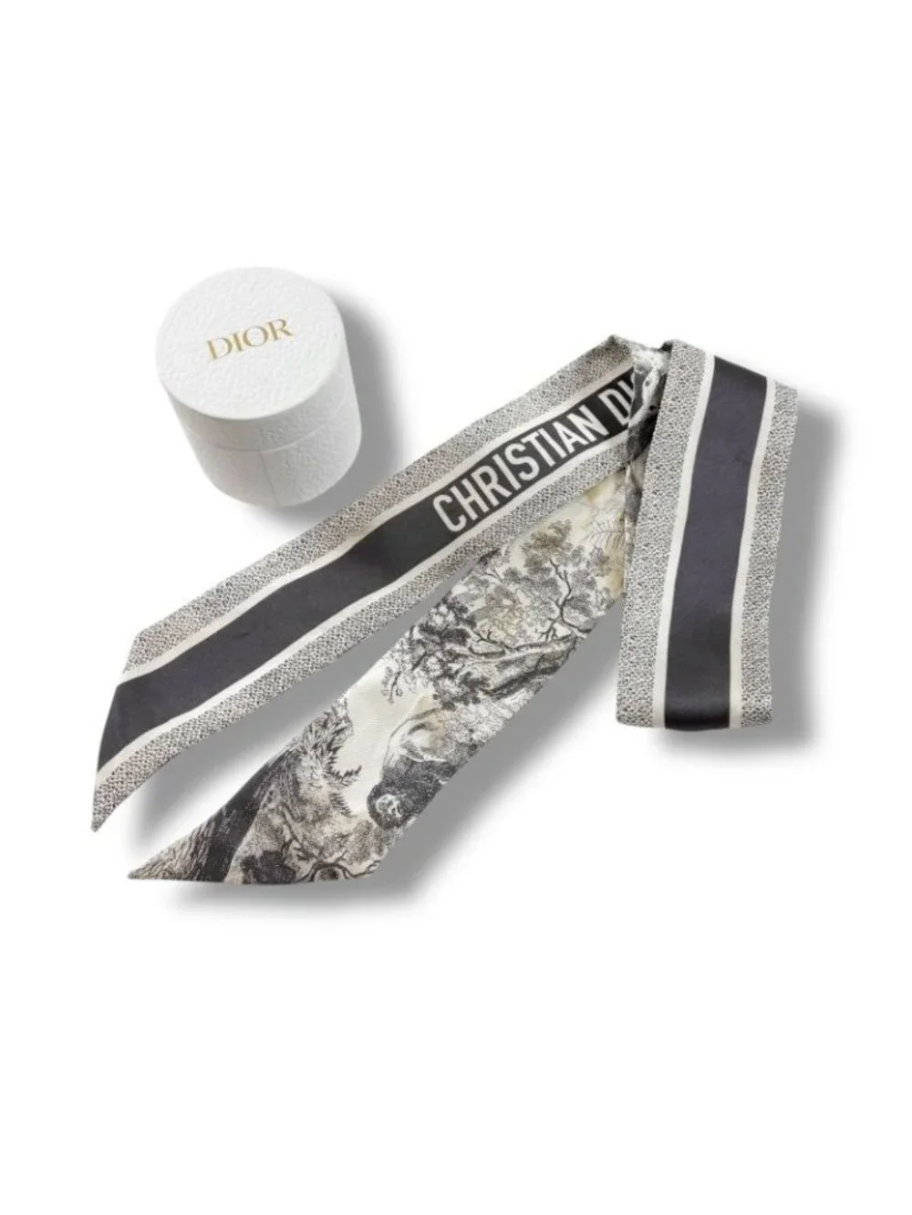 Dior Mizza Toile de Jouy Sauvage Scarf